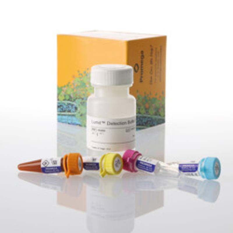 Lumit(R) TNF-alpha (Human) Immunoassay, 1000 assays