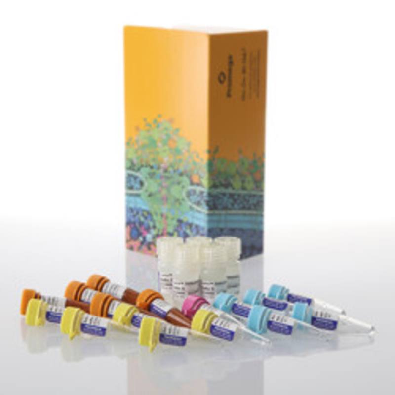 Lumit(R) TNF-alpha (Human) Immunoassay, 500 assays