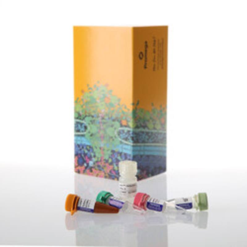 Lumit(R) IL-10 (Human) Immunoassay, 100 assays