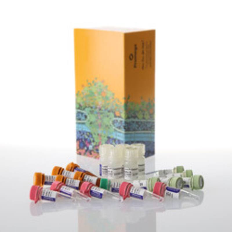 Lumit(R) IL-10 (Human) Immunoassay, 500 assays