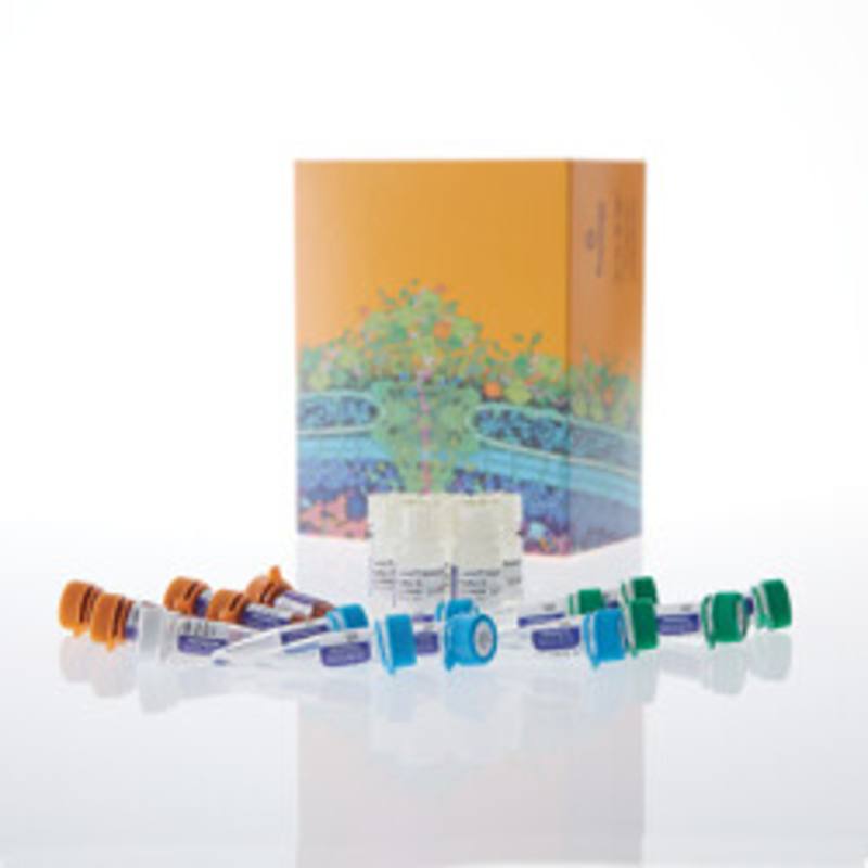 Lumit(R) HMGB1 (Human/Mouse) Immunoassay, 500 assays