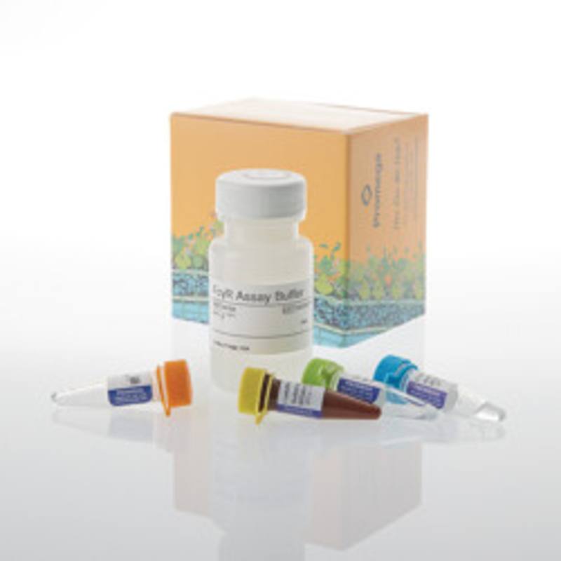 Lumit(R) FcgammaRIIb Binding Immunoassay, 100 assays
