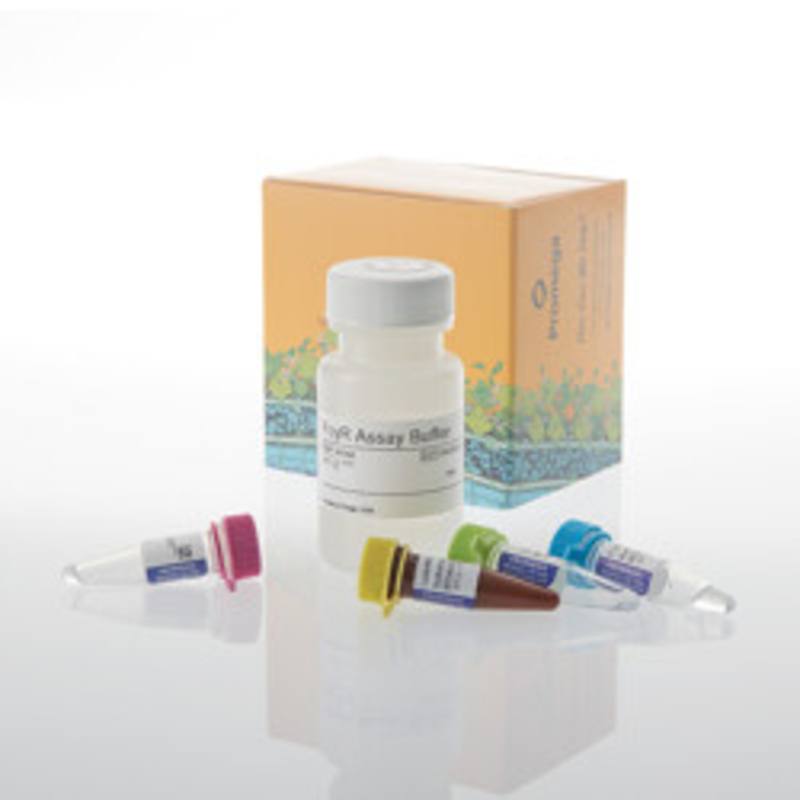 Lumit(R) FcgammaRIIIa (F158) Binding Immunoassay, 100 assays