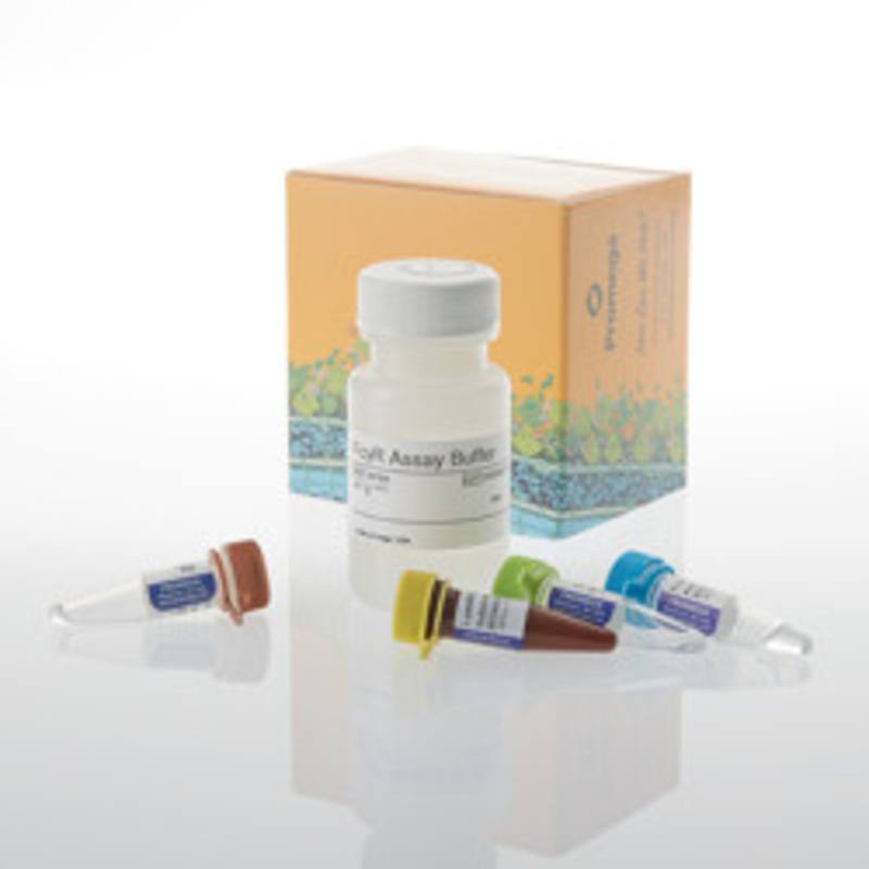 Lumit(R) FcgammaRIIIa (V158) Binding Immunoassay, 100 assays