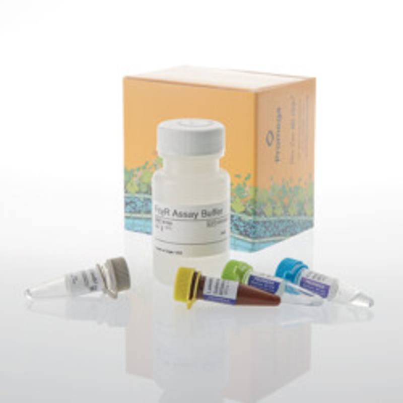 Lumit(R) FcgammaRIIa (H131) Binding Immunossay, 100 assays