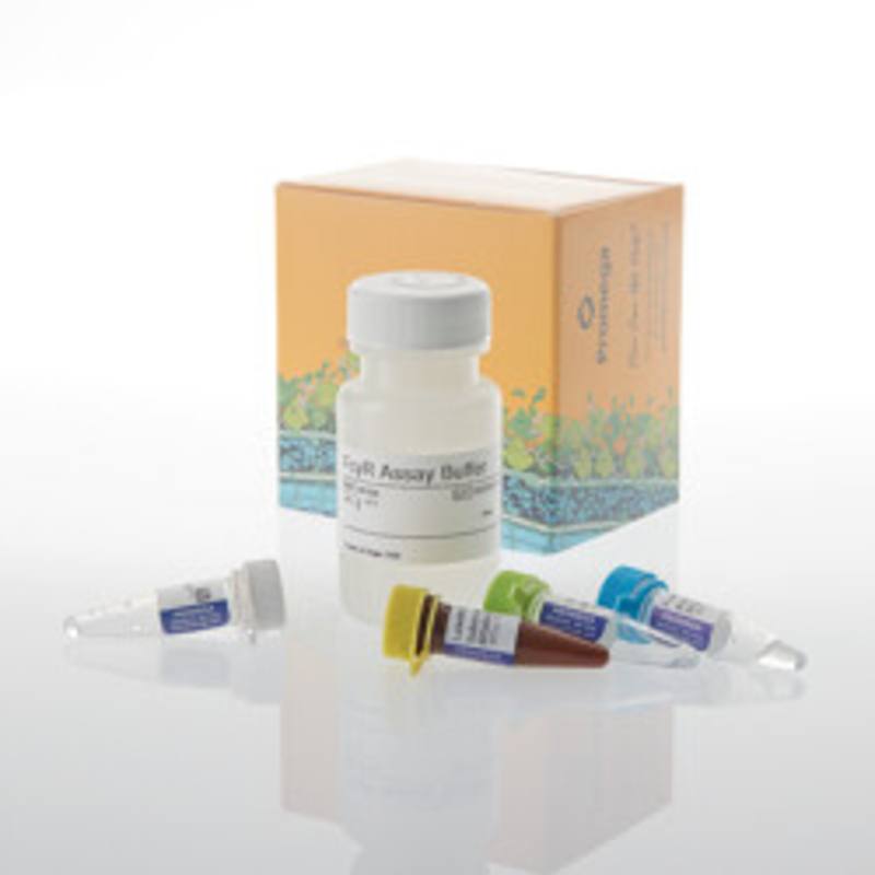 Lumit(R) FcgammaRI Binding Immunoassay, 100 assays