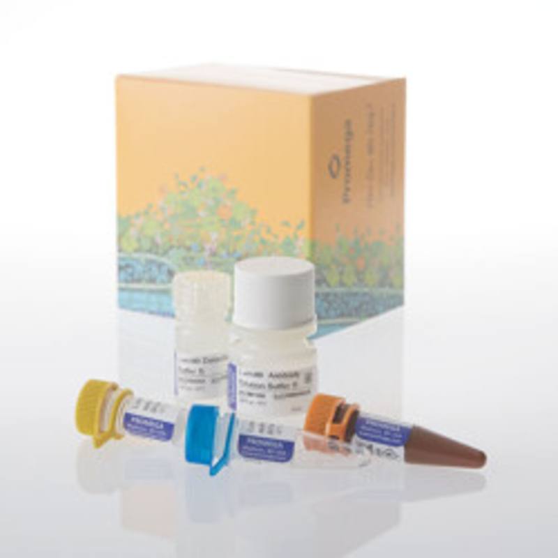 Lumit(R) Insulin Immunoassay, 100-400 assays