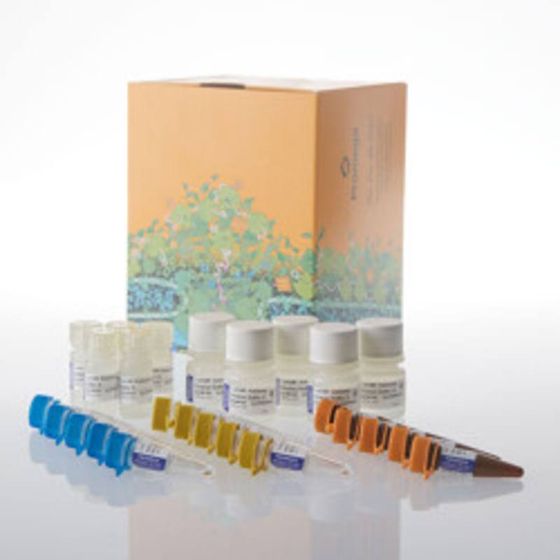 Lumit(R) Insulin Immunoassay, 500-2000 assays