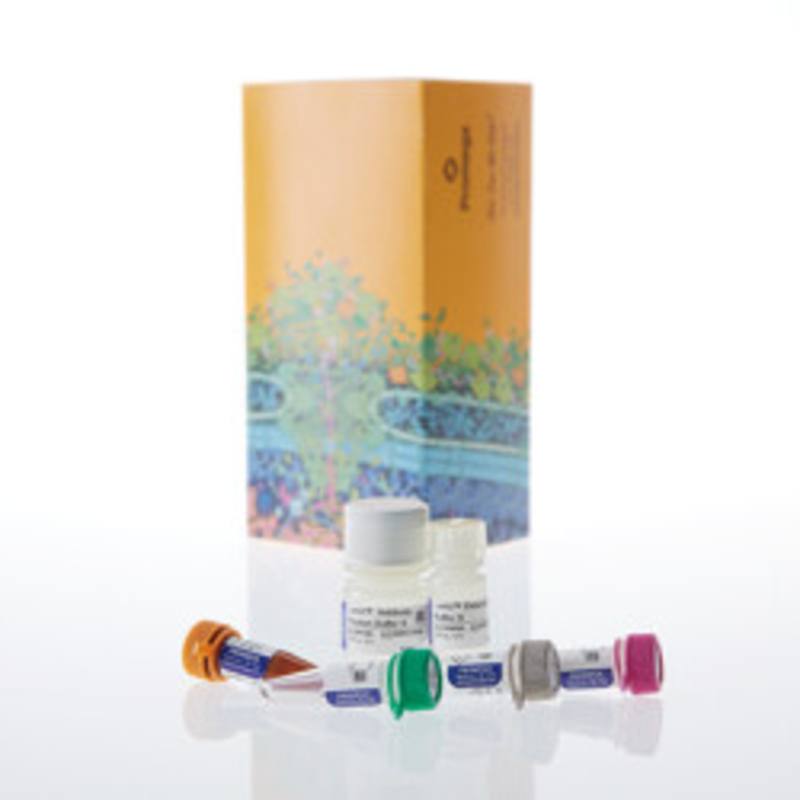Lumit(R) Glucagon Immunoassay, 100-400 assays