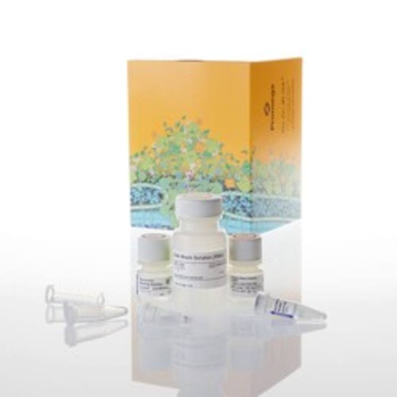ReliaPrep(TM) RNA Clean-up and Concentration System, 10 Prep