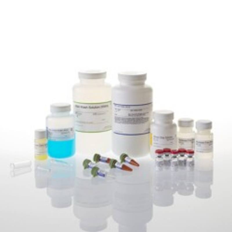 SV Total RNA Isolation System, 250 preps