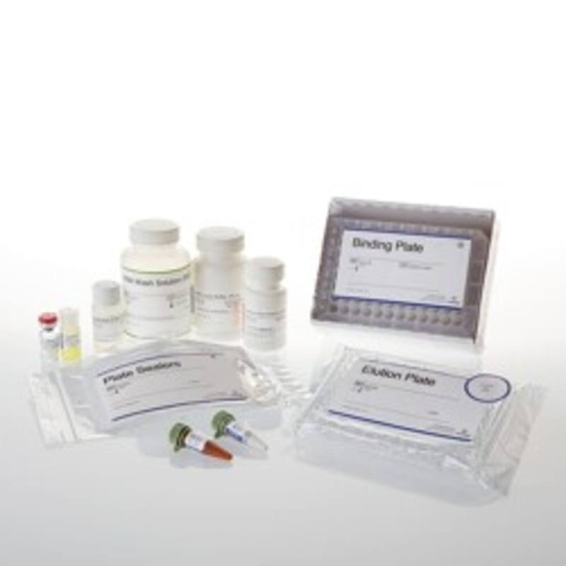 SV 96 Total RNA Isolation System, 1 x 96