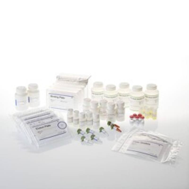 SV 96 Total RNA Isolation System, 5 x 96