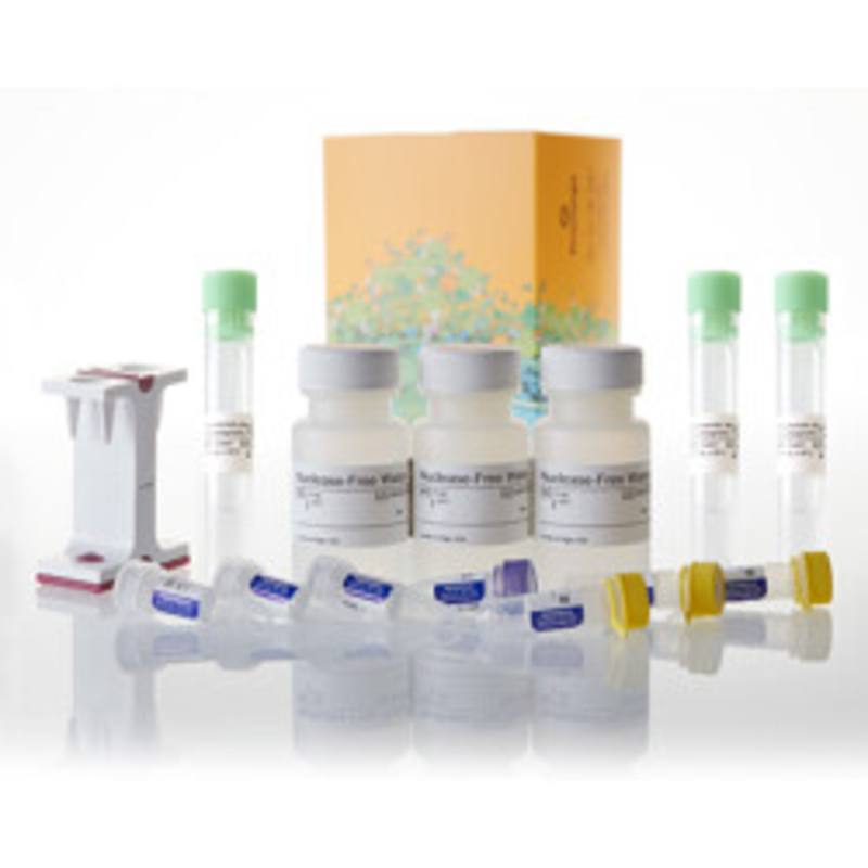 PolyATtract(R) mRNA Isolation System II