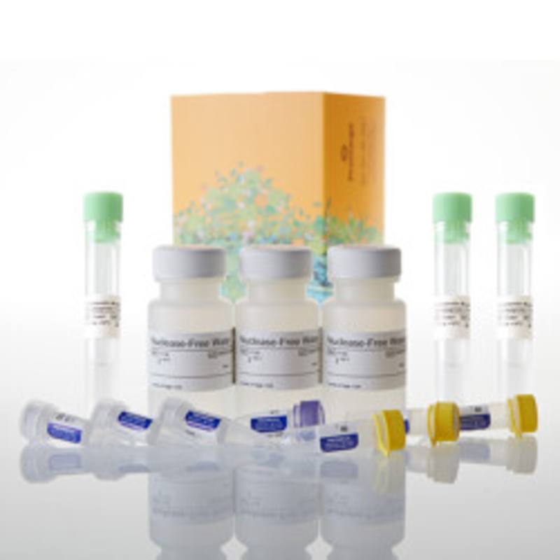PolyATtract(R) mRNA Isolation System I