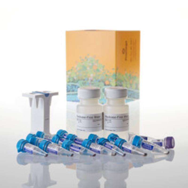 PolyATtract(R) mRNA Isolation System III