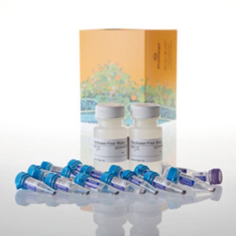 PolyATtract(R) mRNA Isolation System IV