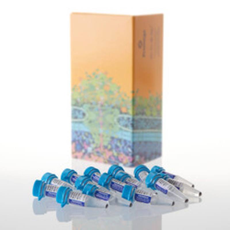 Streptavidin MagneSphere(R) Paramagnetic Particles, 9ml