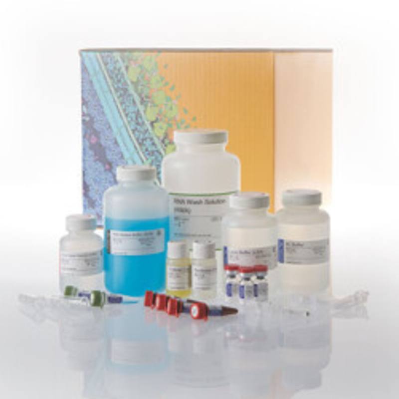 ReliaPrep(TM) RNA Miniprep System, 250rxn