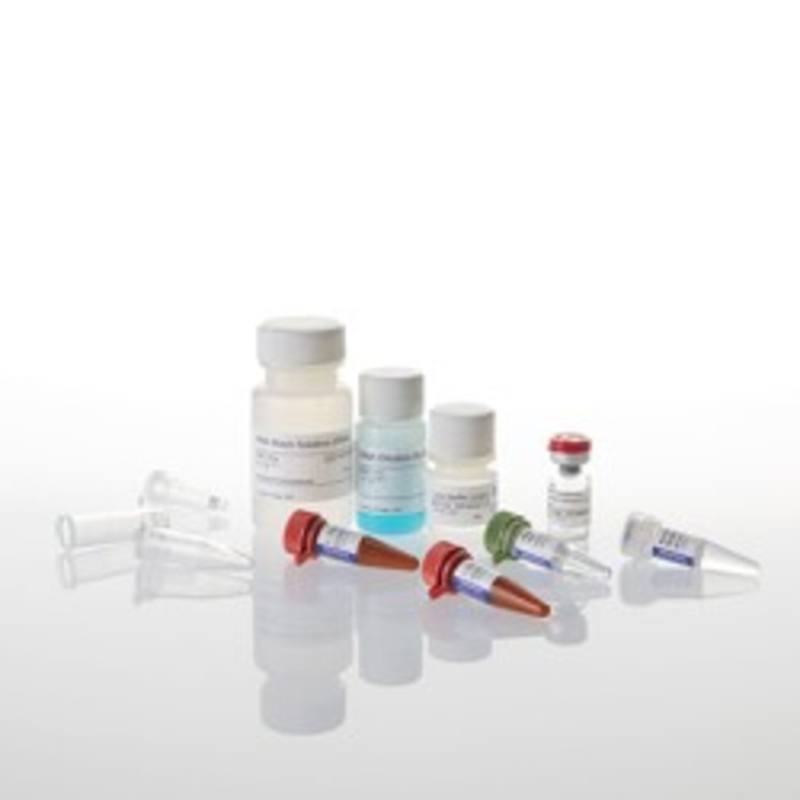 ReliaPrep(TM) miRNA Cell and Tissue Miniprep System, 10 Prep