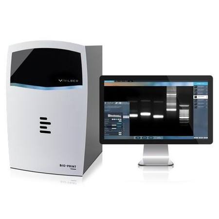 Buy BIO-PRINT Gel Documentation System in NZ. 