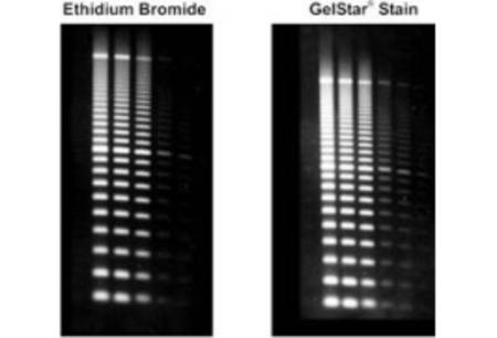 Gelstar Nucleic Acid Gel Stain, 2x250uL