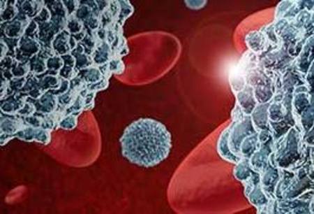 Poietics Immune Cells and Media