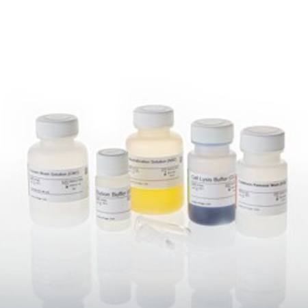 Buy PureYield(TM) Plasmid Miniprep System, 100 preps in NZ.