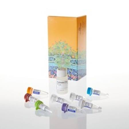 Buy Access RT-PCR Introductory System in NZ.