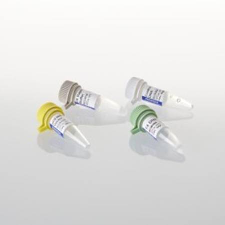 Buy pGEM(R)-T Easy Vector System I in NZ. 