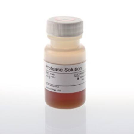 Buy Protease Solution, 30ml in NZ. 