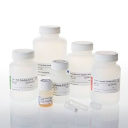 Buy Wizard(R) Plus SV Miniprep DNA Purif. Sys., 250 preps w/Adp. in NZ.