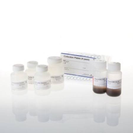 Buy Wizard(R)  MagneSil(R)  Plasmid Purification System, 4 X 96 in NZ. 