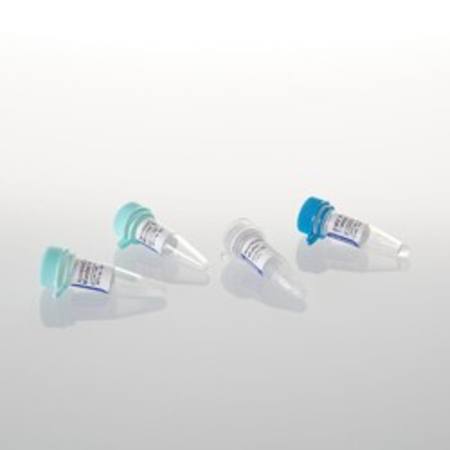 Buy AccessQuick(TM) RT-PCR System, 20 reactions in NZ.