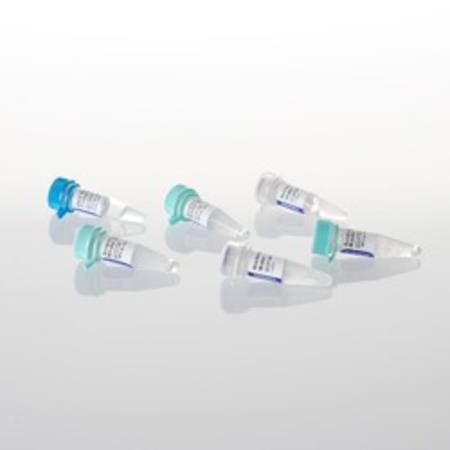 Buy AccessQuick(TM) RT-PCR System, 100 reactions in NZ.