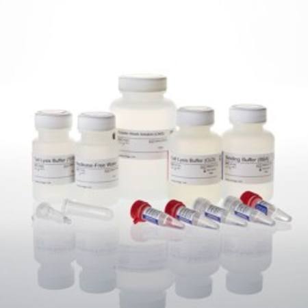 Buy ReliaPrep(TM) gDNA Tissue Miniprep System, 100 Preps in NZ. 