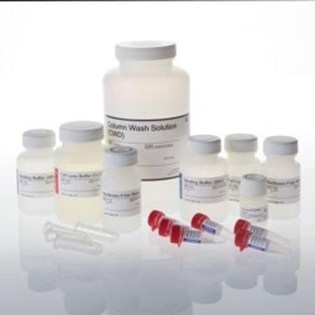 Buy ReliaPrep(TM) gDNA Tissue Miniprep System, 250 Preps in NZ.