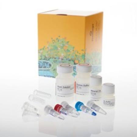 Buy ReliaPrep(TM) FFPE gDNA Miniprep System, 10 Reactions in NZ.