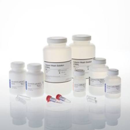 Buy Wizard(R) SV Genomic DNA Purification System, 250 preps in NZ. 