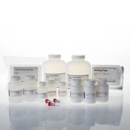 Buy Wizard(R) SV 96 Genomic DNA Purification System, 4 x 96 in NZ.