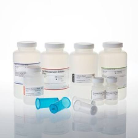 Buy PureYield(TM) Plasmid Maxiprep System, 25 preps in NZ.