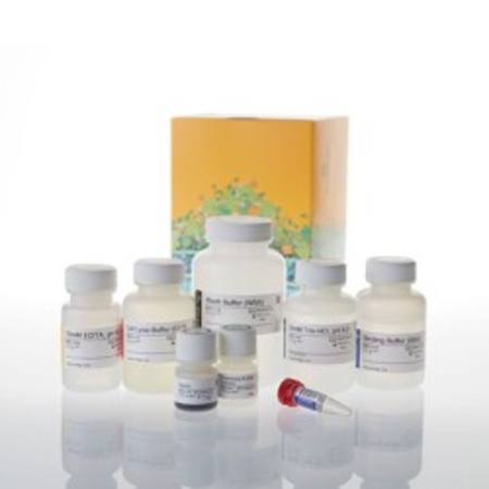 Buy Maxwell(R) HT 96 gDNA Blood, 1x96 preps in NZ. 