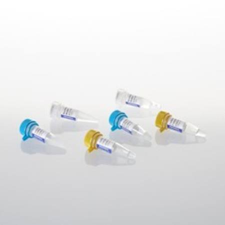 Buy GoScript(TM) Reverse Transcription Mix, Oligo(dT), 100 rxns in NZ.