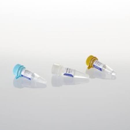 Buy GoScript(TM) Reverse Transcription Mix, Random Primers, 50 in NZ.