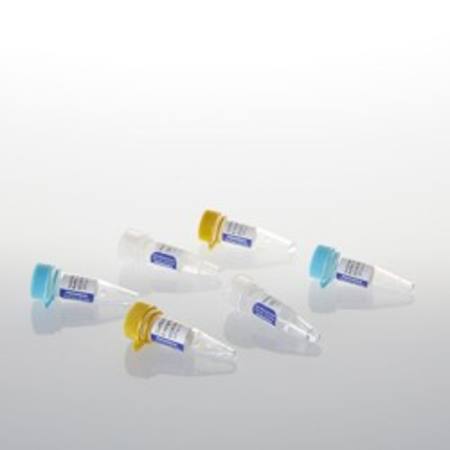 Buy GoScript(TM) Reverse Transcription Mix, Random Primers, 100 in NZ.