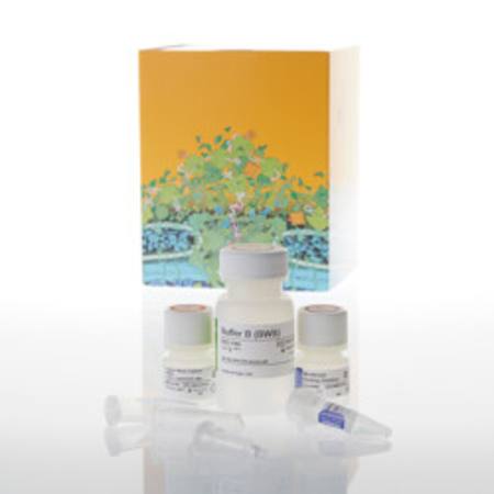 Buy ReliaPrep(TM) DNA Clean-up and Concentration System, 10 Prep in NZ.