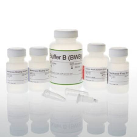 Buy ReliaPrep(TM) DNA Clean-up and Concentration System, 250 Prep in NZ. 