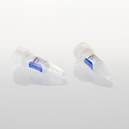 Buy Magnesium Chloride Solution, 25mM, 1.5ml in NZ. 