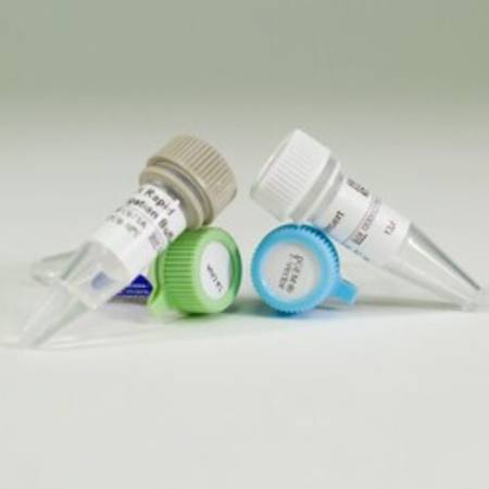 Buy pGEM(R)-T Vector System I in NZ.