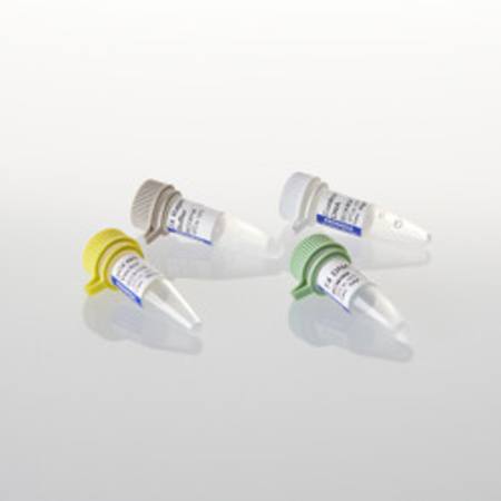 Buy pGEM(R)-T Vector System II in NZ. 